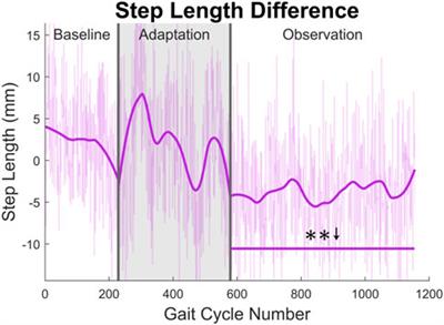 Using robot-assisted stiffness perturbations to evoke aftereffects useful to post-stroke gait rehabilitation